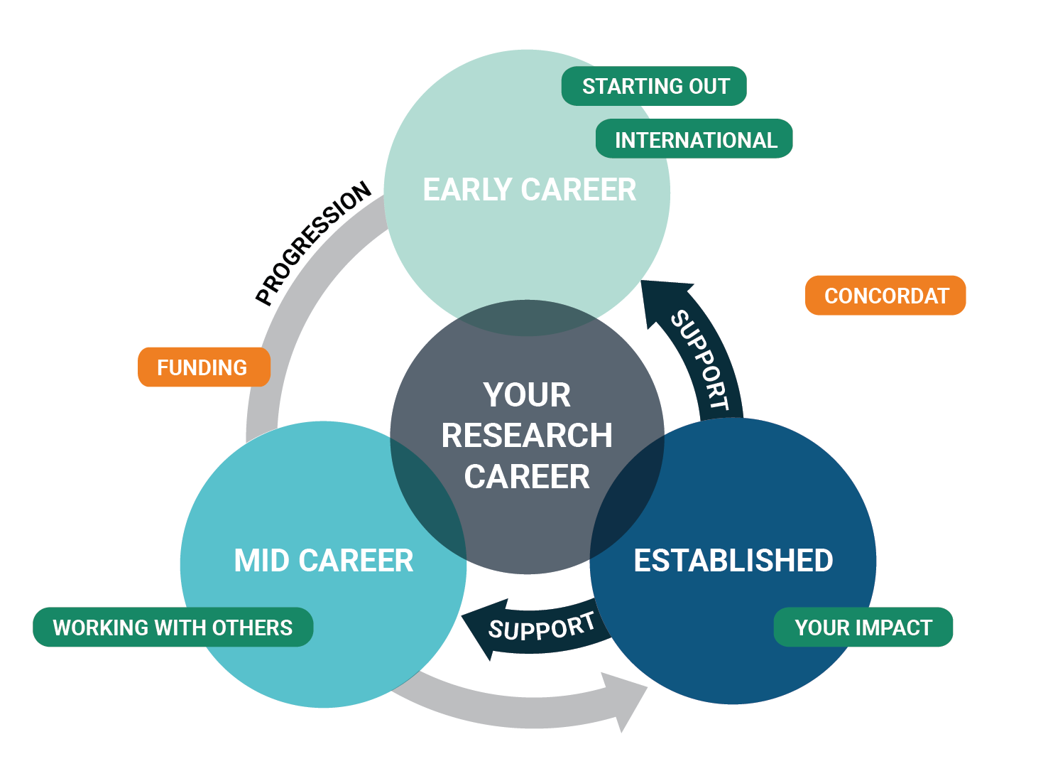 career diagram