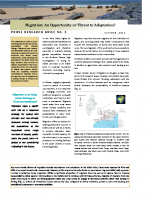PRUNE Research Brief
