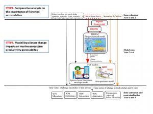 projecting fish production