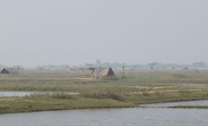 Landscape in the delta