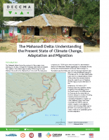 Mahanadi Delta Brief