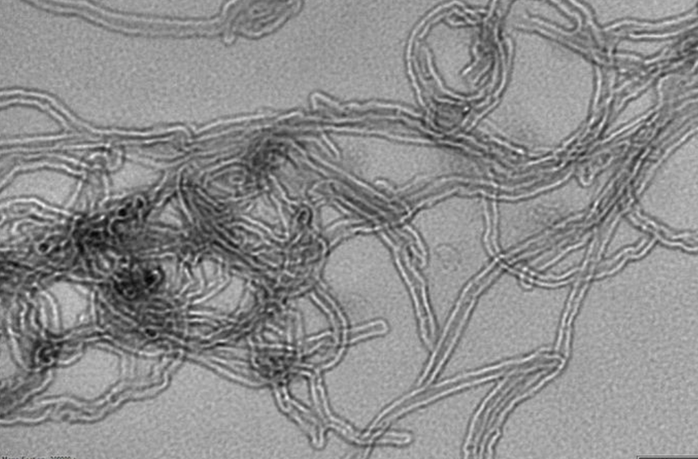 Electron Microscope image of sulfur coated nanotubes looking like knotty string