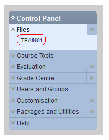 Course Files