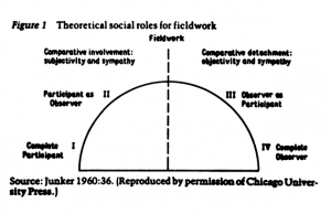 theoretical social roles for fieldwork