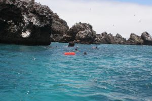 The first group exits the Devil's Crown, and is picked up bythe waiting boat, before taking the second group round to repeat the exercise.