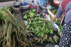 red bananas ( the green ones just aren't ripe yet)