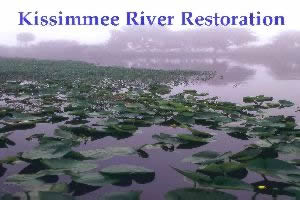Figure 1: A picture of the Kissimmee River. Courtesy of USGS