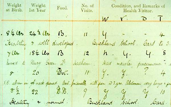 Extract from Health Visitor Ledgers