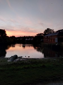 pic2