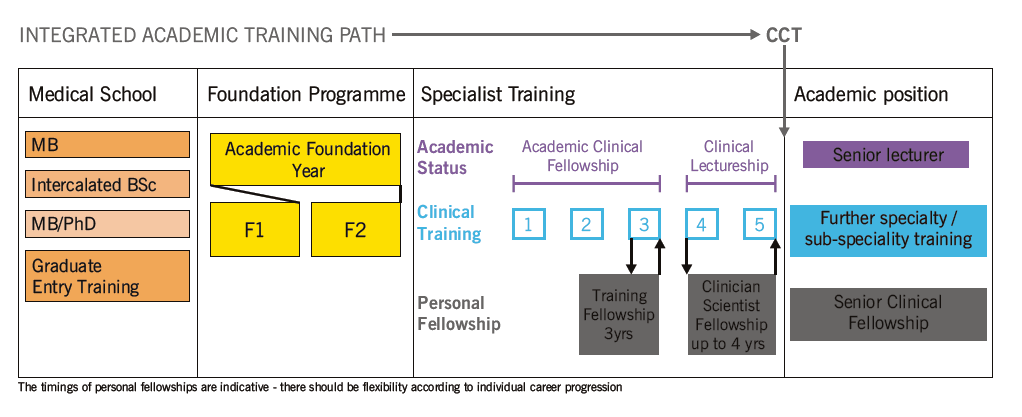 Integrated clinical academic training pathway, from medical school to independent senior appointment