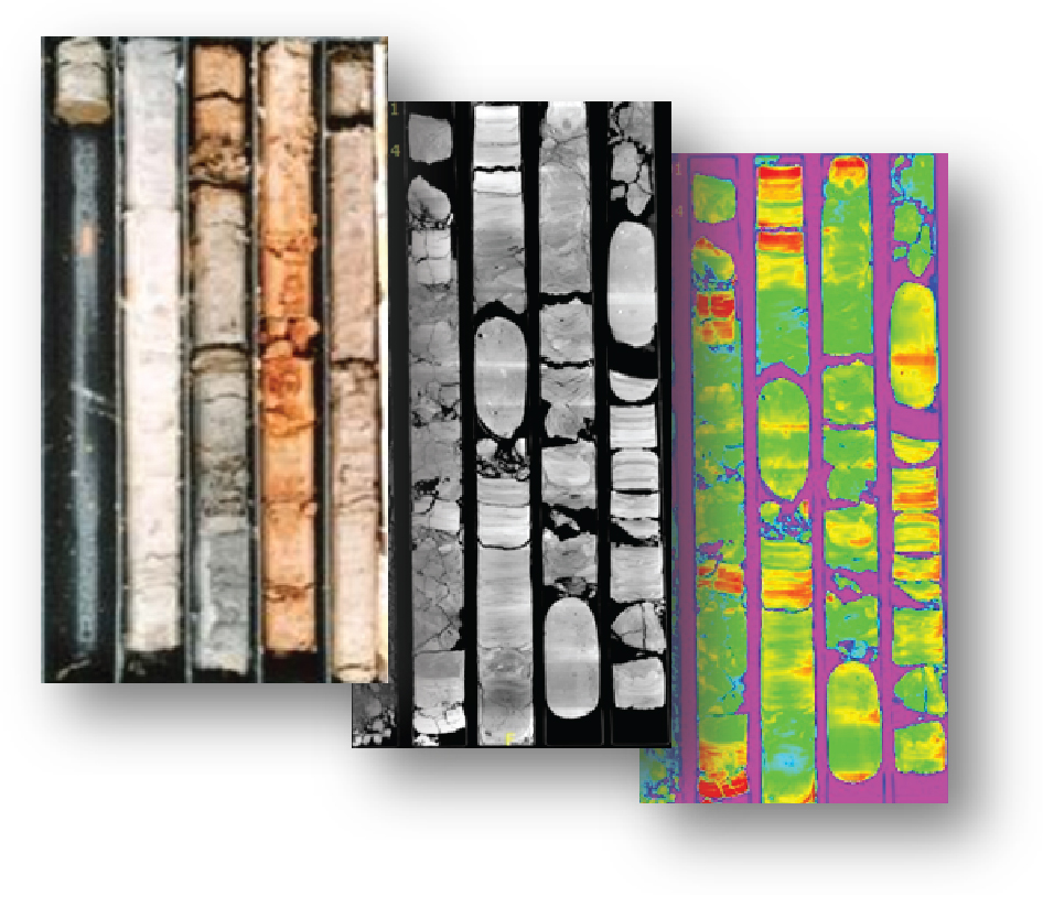 Figure 2 – Computed Tomography (CT) scans of sediment cores extracted from the Tiber delta