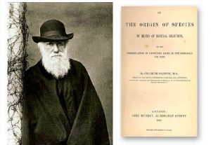 darwin