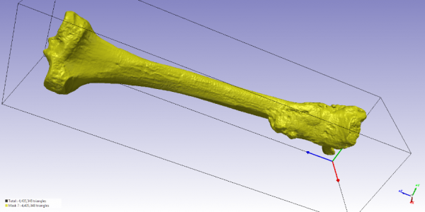 3D model for the scan part