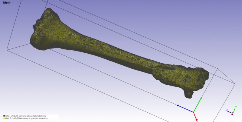 mesh tibia2 (fractured)