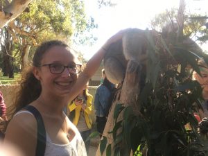 A koala selfie