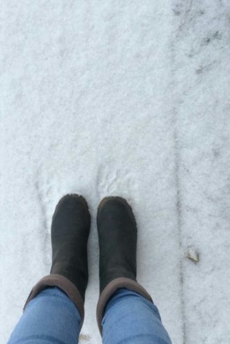 Firsts hints of snow in State College