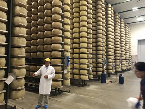 Cheese city at the Grana Padano factory