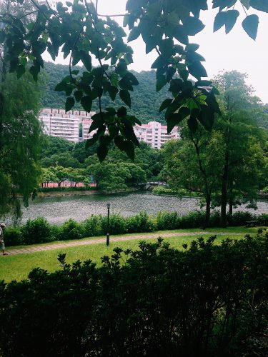 CUHK Garden