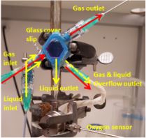 3-D printed module for fast liquid equilibration with gasses