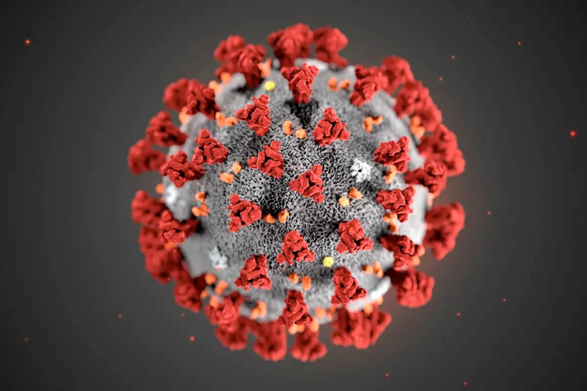 Illustration of the ultrastructure of the Covid-19 virus Illustration of the ultrastructure of the Covid-19 virus, CDC/SCIENCE PHOTO LIBRARY