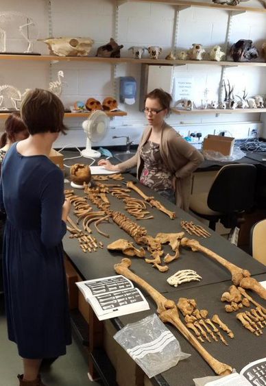 Bioarchaeology & Osteoarchaeology @ Southampton Interns (#BOSI)