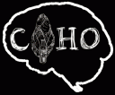 Centre for the Archaeology of Human Origins