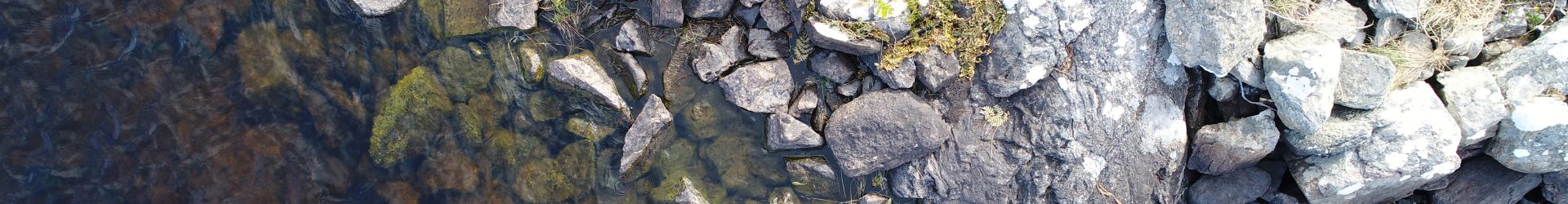 Islands of Stone