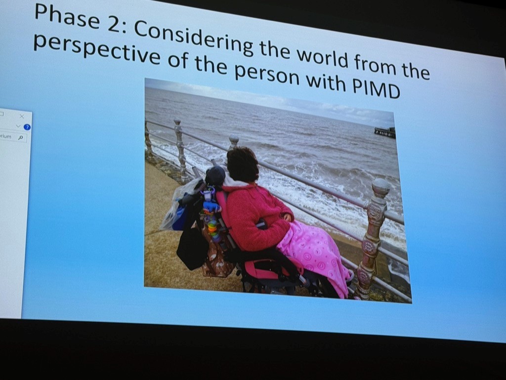 An image of a presentation slide, featuring a 'Phase 2' as the heading and a photograph of a person looking at the sea