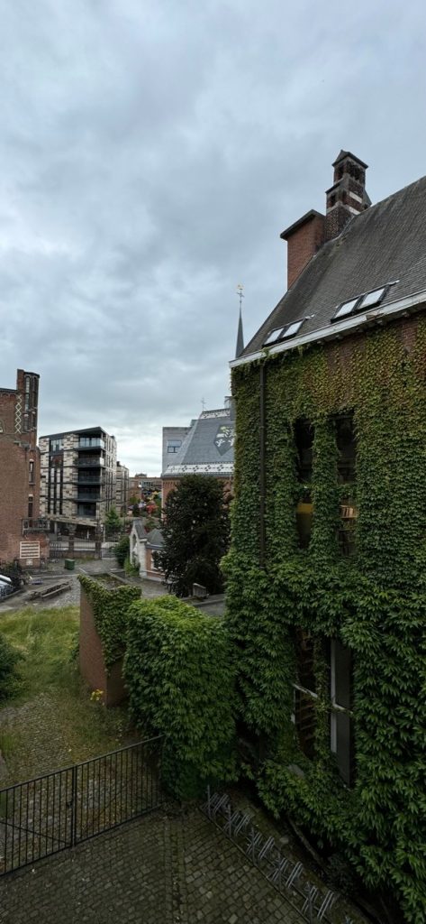 An image of buildings covered in foliage