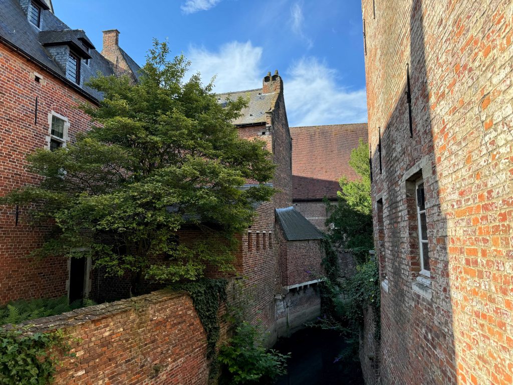 An image showing some brick houses and an alley