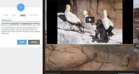 Screenshot of ThingLink user interface, showing a video of seabirds being added to an image.