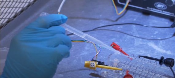 lab experiment