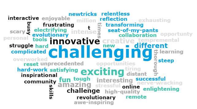 Vevox word cloud including: challenging, innovative, exciting, amazing, revolutionary, enlightening, different, seat-of-my-pants, commuinity, inspirational, hard work, struggle, complicated, electrifying, interactive, frustrating, enjoyable, unprecedented, overworked, intense, creative, nerve-wracking, fun, tough, tiring, satsifying, scary, busy, new tricks 