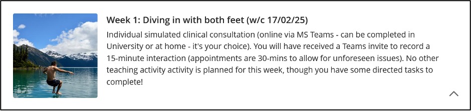 A Learning Module in Blackboard. It has the title "Diving in with both feet", some additional context about what is covered in Week 1 and a image of someone jumping into a lake.