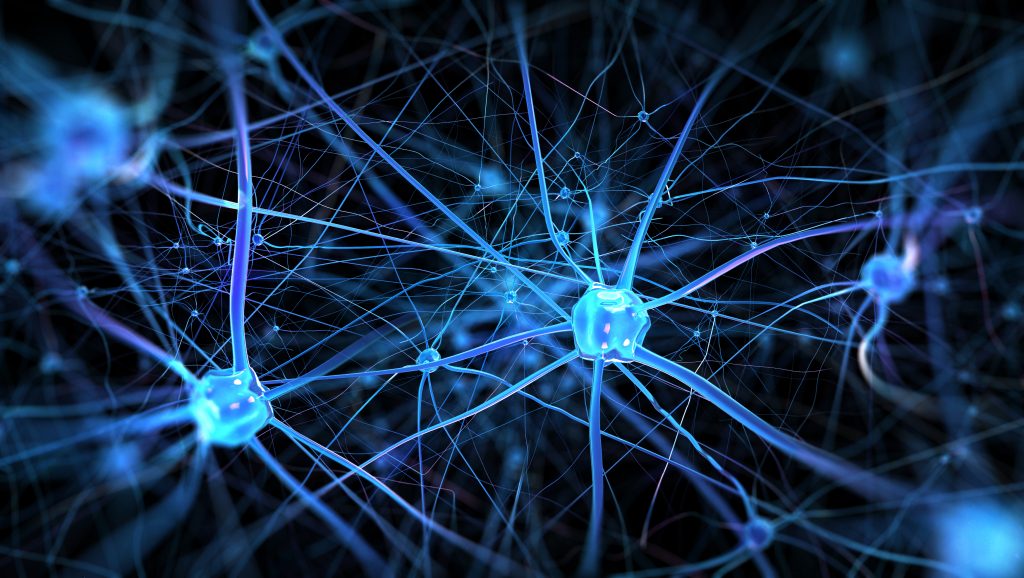 Computer generated image of neurons