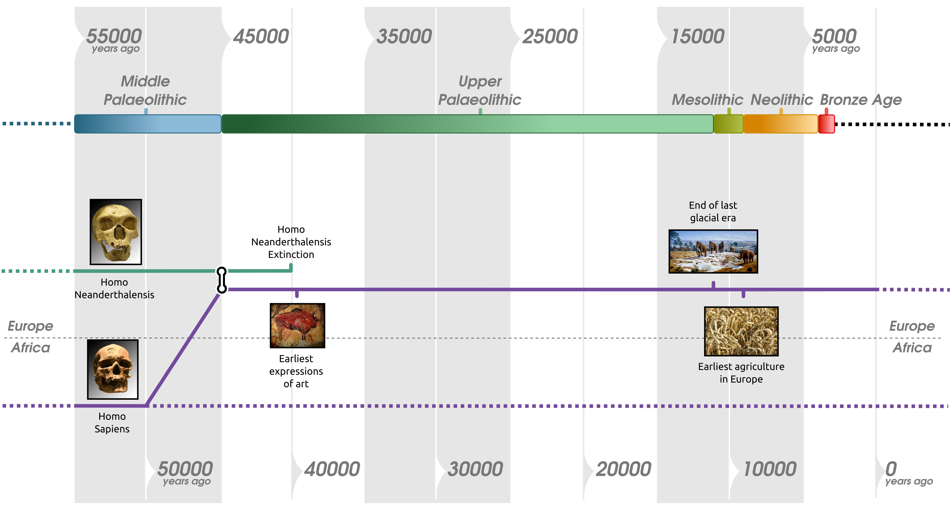 Timeline Human Prehistory Cronograma Del Proyecto Linea Del Tiempo ...