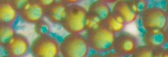 ESWS WG  –  Microfluidics Conference 2026, a new paper and updated WG report