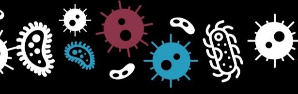 Biochar WG  –  BBNet Conference presentation now available