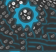 Membrane fouling control review  –  and an updated report from the AG WG