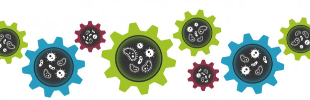AD optimisation and decision-making – an industry/academic perspective