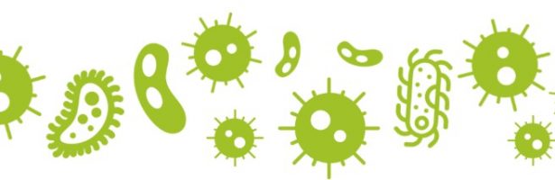 Joint PhycoClub / EBNet talk  –  don’t miss this!