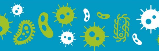 PhycoFriday – Unlocking Hidden Bioactivity: Anti-inflammatory effects of microalgal fractions