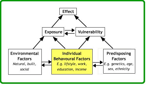 Behavioural factors data