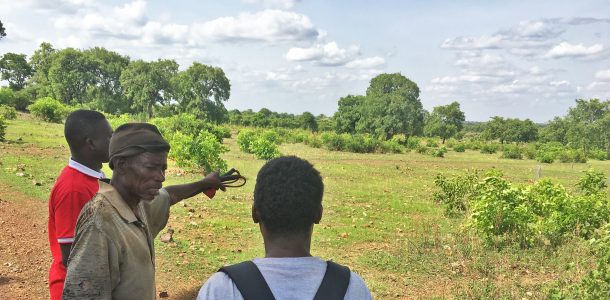 Building participatory research skills in northern Ghana: A field school approach