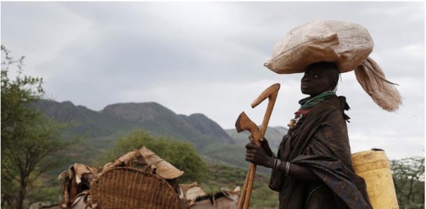 Determining resilience attributable bio-physical, social/gender, economic and political factors that influence Food and Water Security in ASALs of West Pokot and Turkana Counties-Kenya