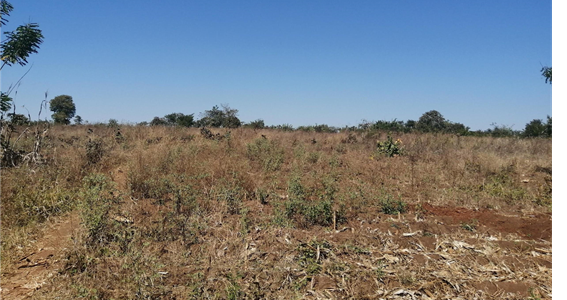 Protecting Cropland in Malawi