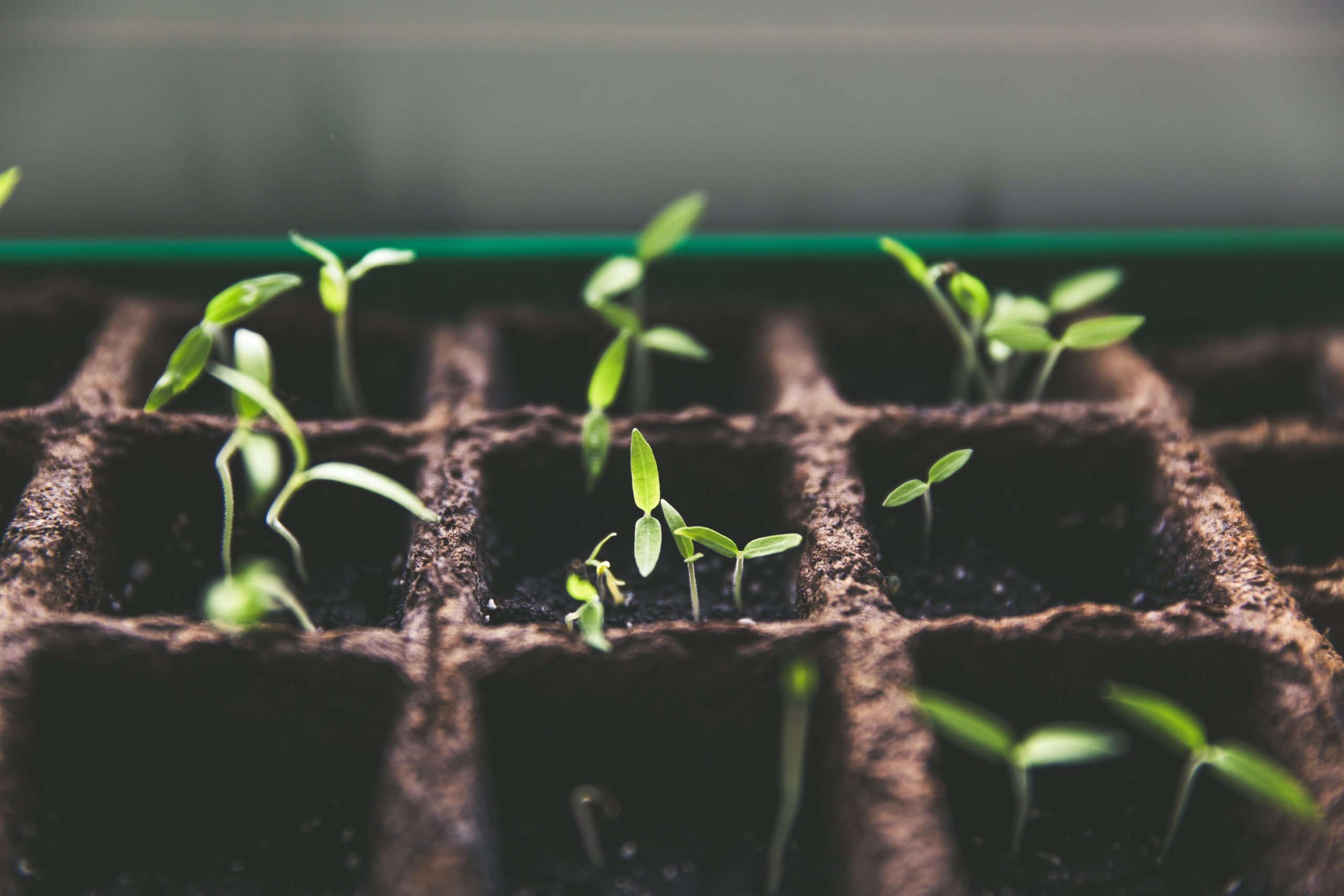 Announcement: i-Nutrilife First Call Funding Awards
