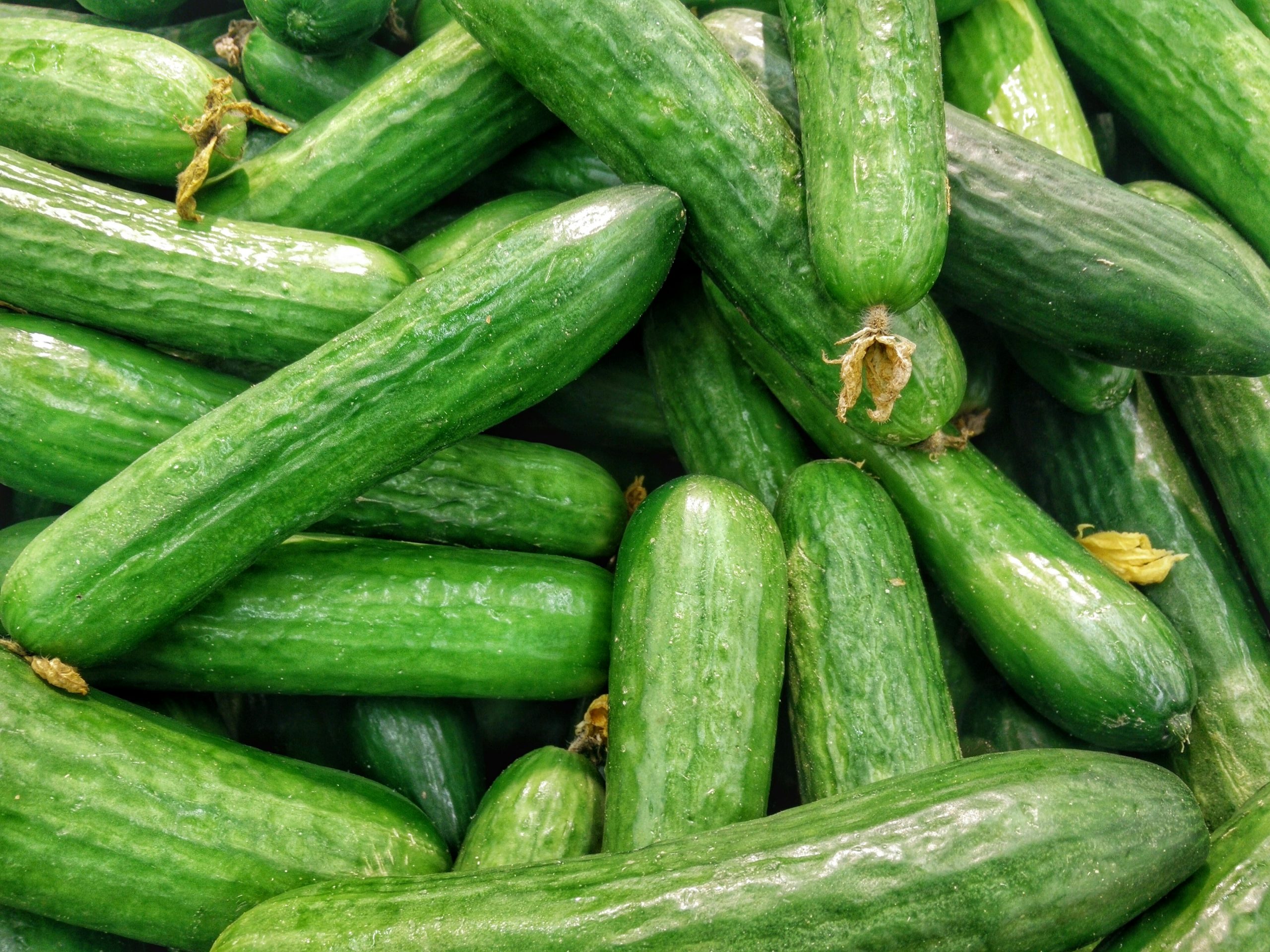 Announcement: i-NutriLife Hub Second Call Funding Awards