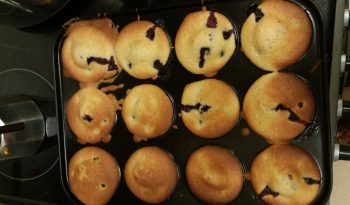Blueberry muffins
