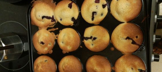 Blueberry muffins